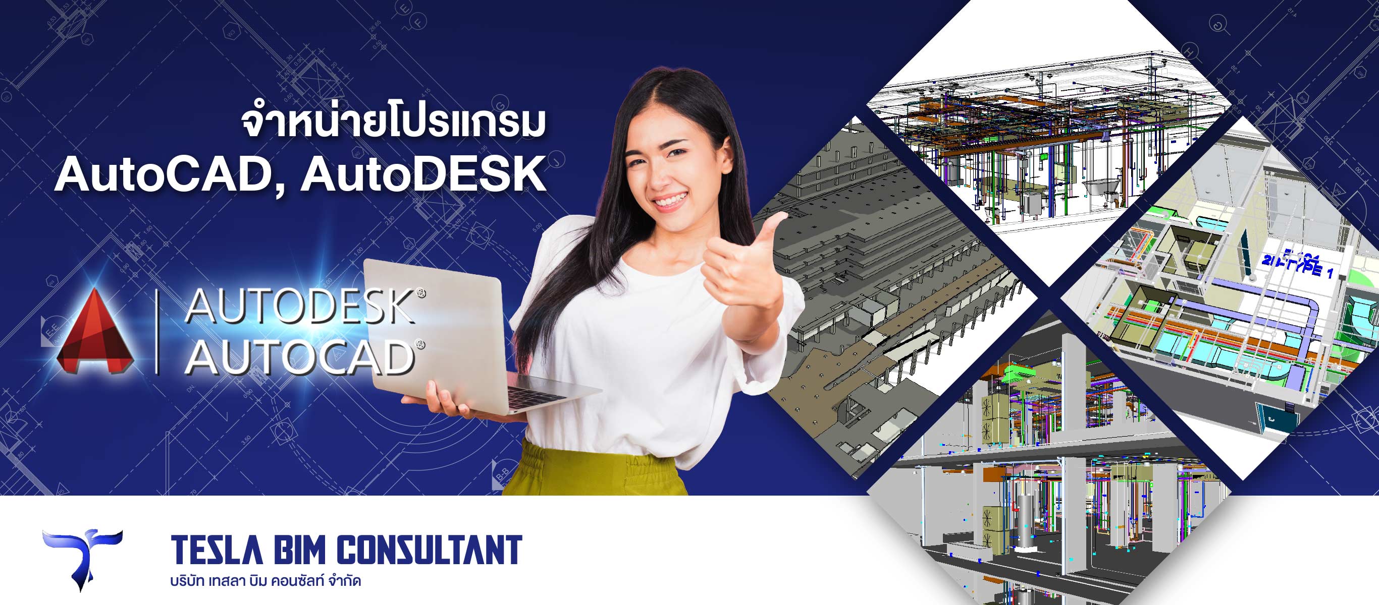 เทสลา บิม คอนซัลท์