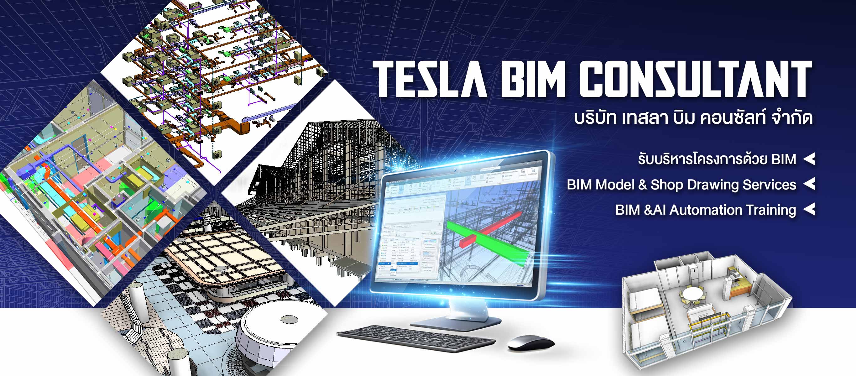 เทสลา บิม คอนซัลท์_0