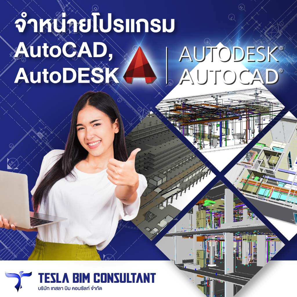 M80039062-04-เทสลา-บิม-คอนซัลท์